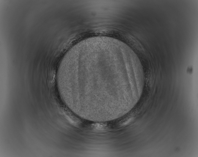 X0000088870660200707061348