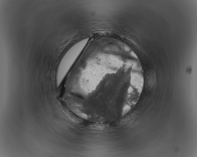 X0000088870661200707061348
