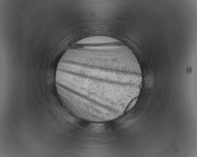 X0000088870665200707061349
