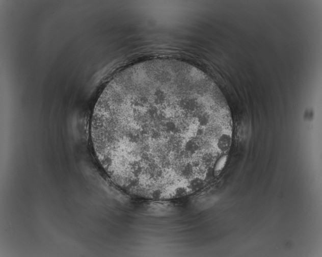 X0000088870666200707061349