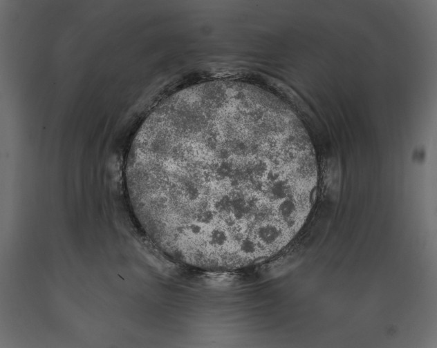 X0000088870667200707061349