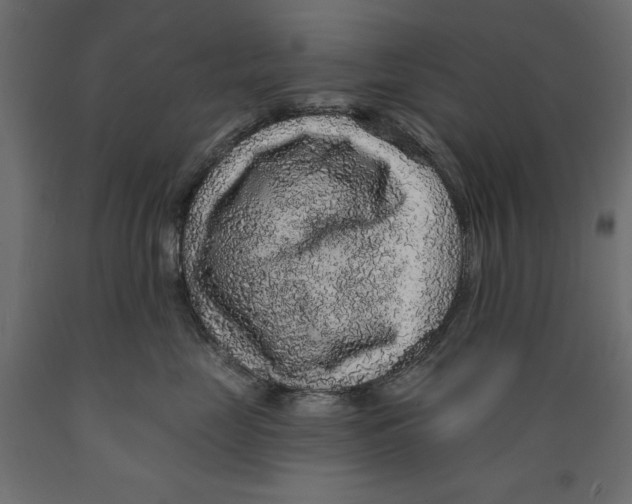 X0000088870669200707061349