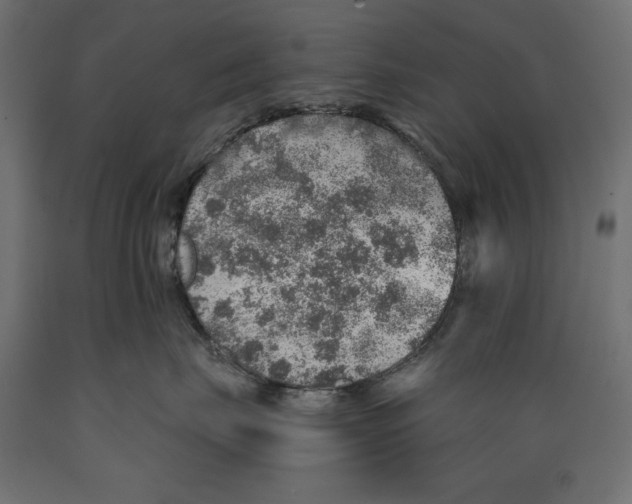 X0000088870671200707061349