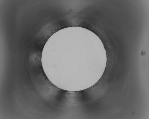 X0000088870672200707061349