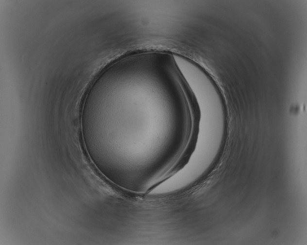 X0000088870673200707061348
