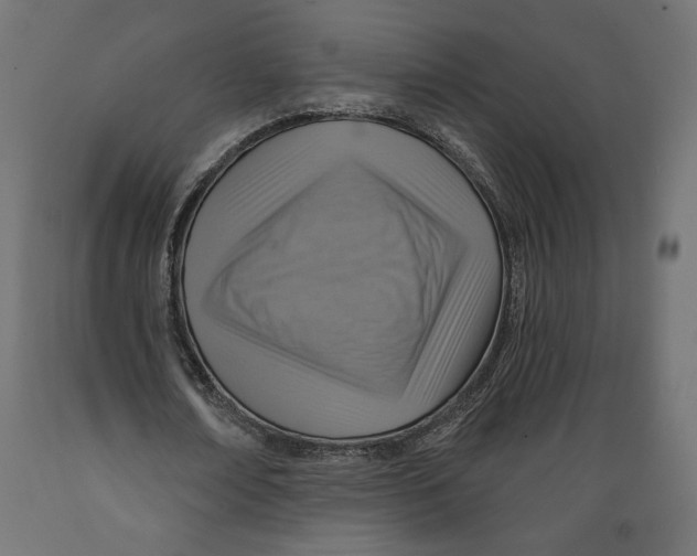 X0000088870674200707061348