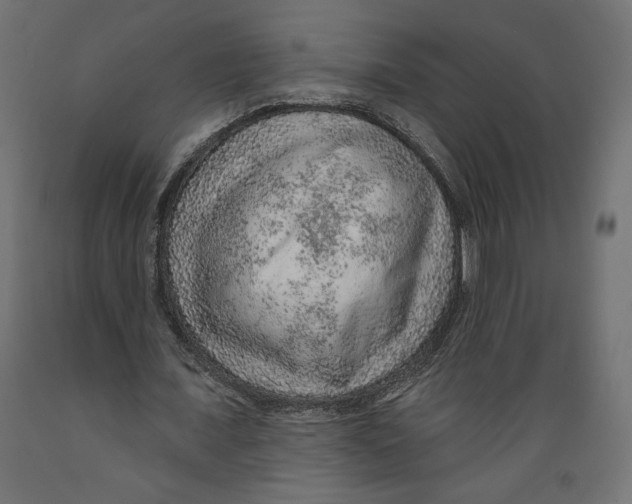 X0000088870675200707061348