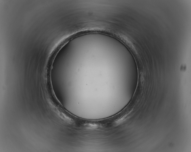X0000088870676200707061348