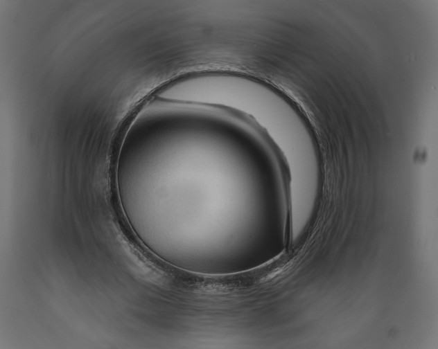 X0000088870677200707061348