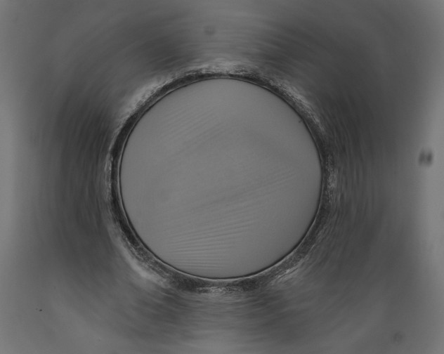 X0000088870678200707061348