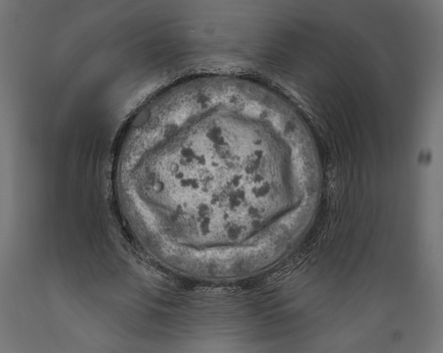 X0000088870679200707061348