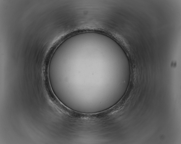 X0000088870680200707061348