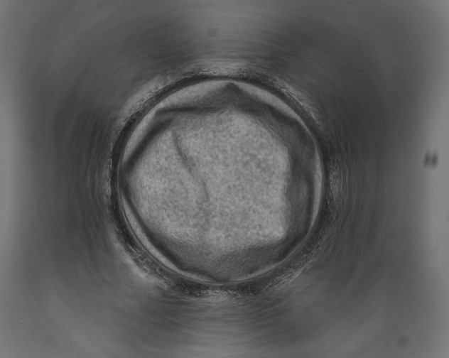 X0000088870682200707061348