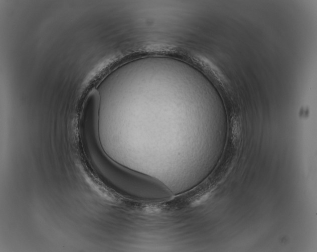 X0000088870684200707061348