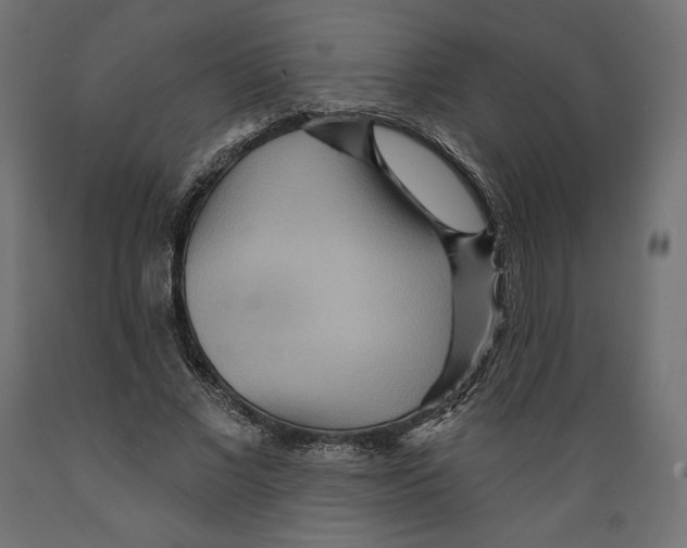 X0000088870685200707061348