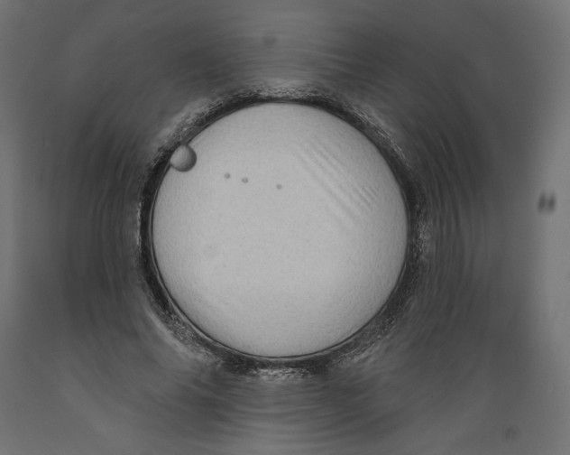X0000088870686200707061348