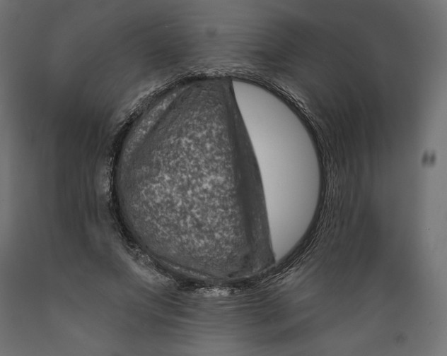 X0000088870687200707061348