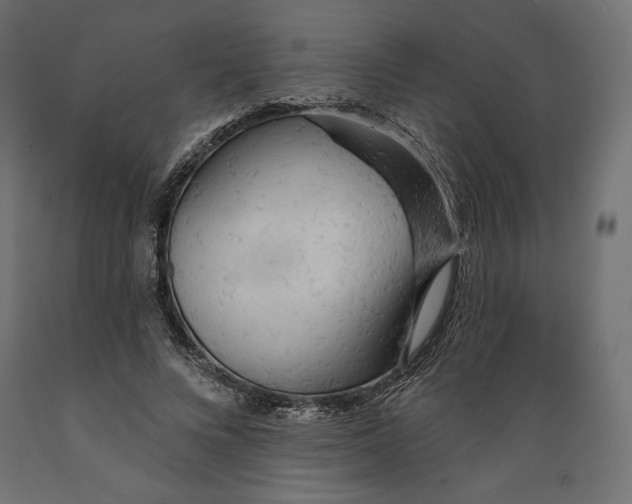 X0000088870688200707061348