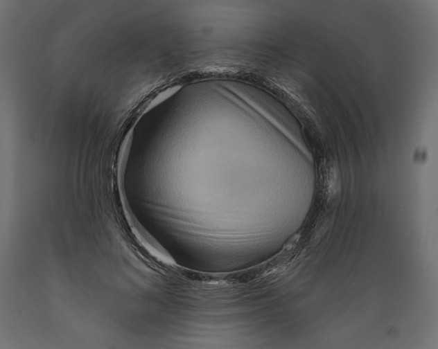 X0000088870692200707061348