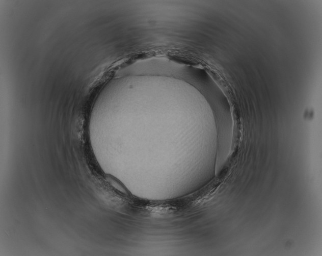 X0000088870693200707061348