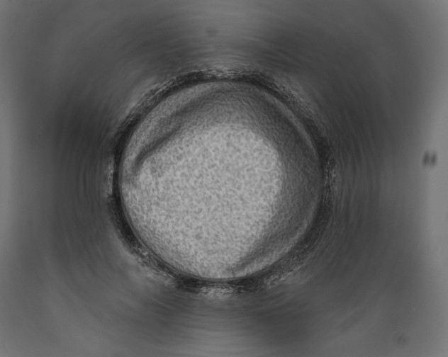X0000088870694200707061348