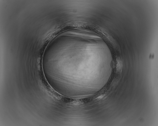 X0000088870696200707061348