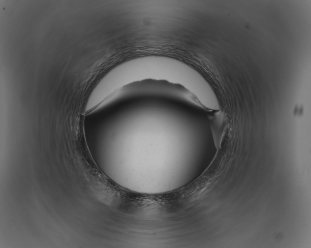 X0000088870697200707061348