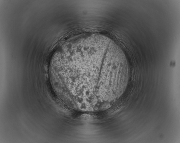 X0000088870699200707061348