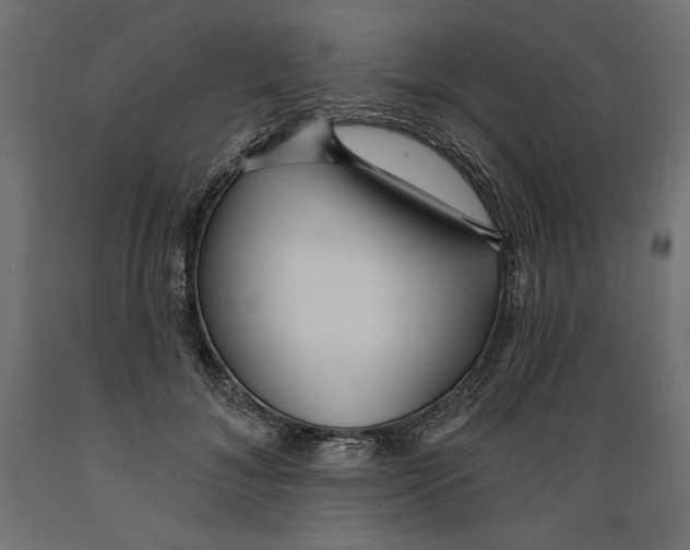 X0000088870700200707061348