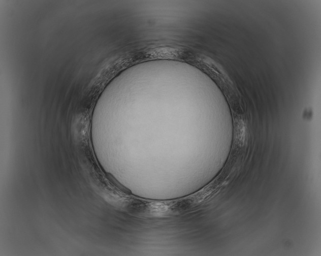 X0000088870701200707061348