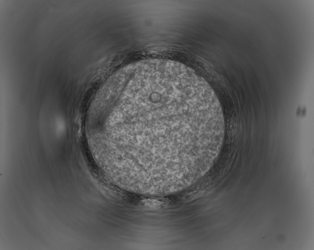 X0000088870703200707061348