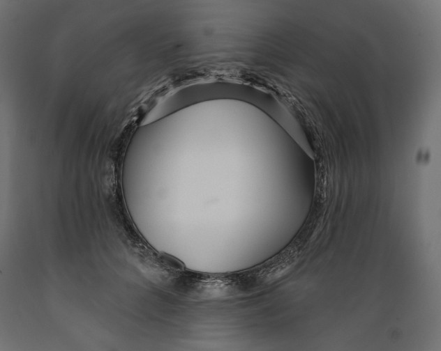 X0000088870704200707061348