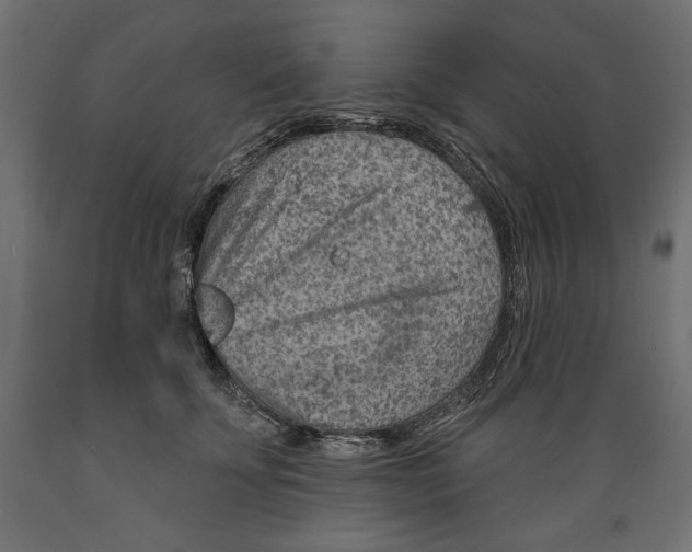 X0000088870707200707061347