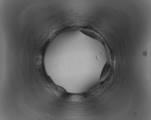X0000088870708200707061347