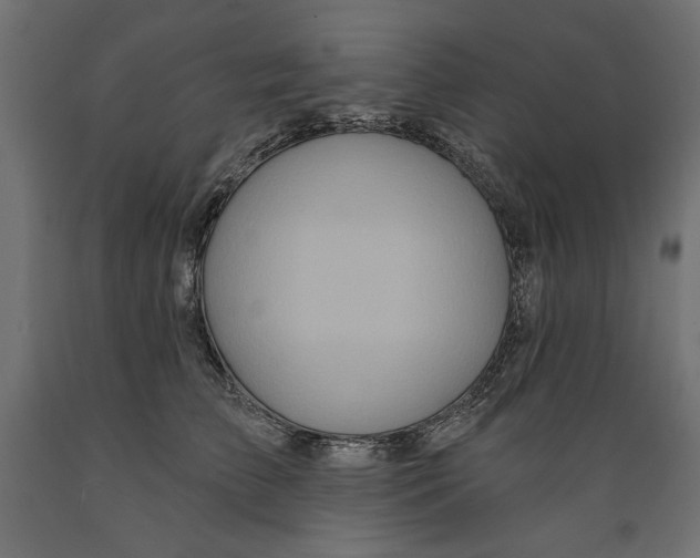 X0000088870709200707061347