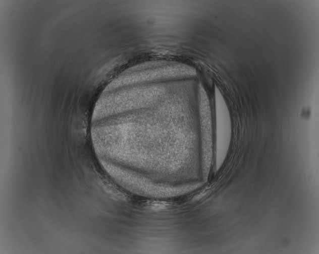 X0000088870710200707061347