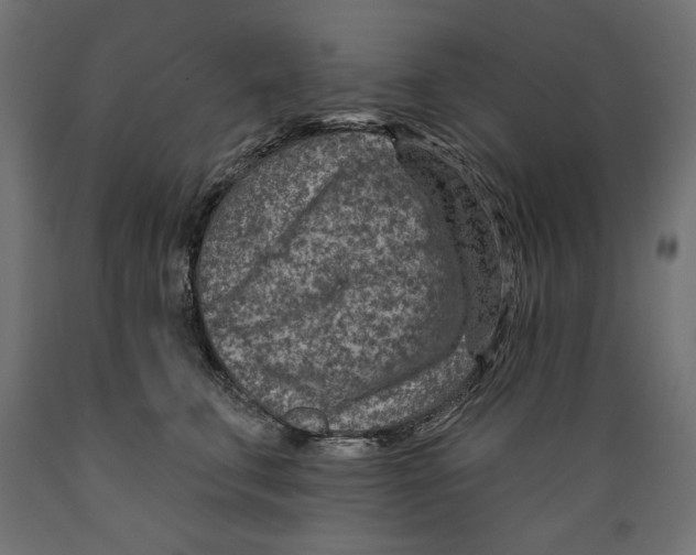 X0000088870711200707061347