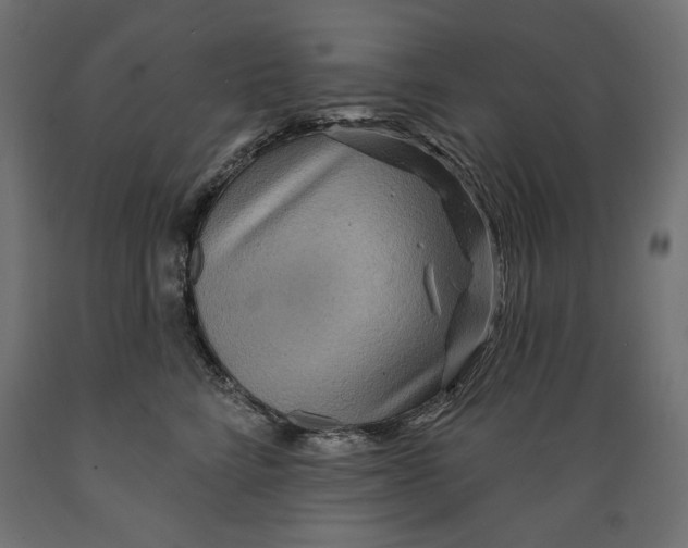 X0000088870712200707061347