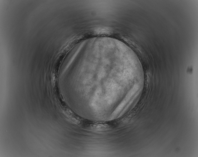 X0000088870716200707061347