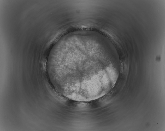 X0000088870718200707061347