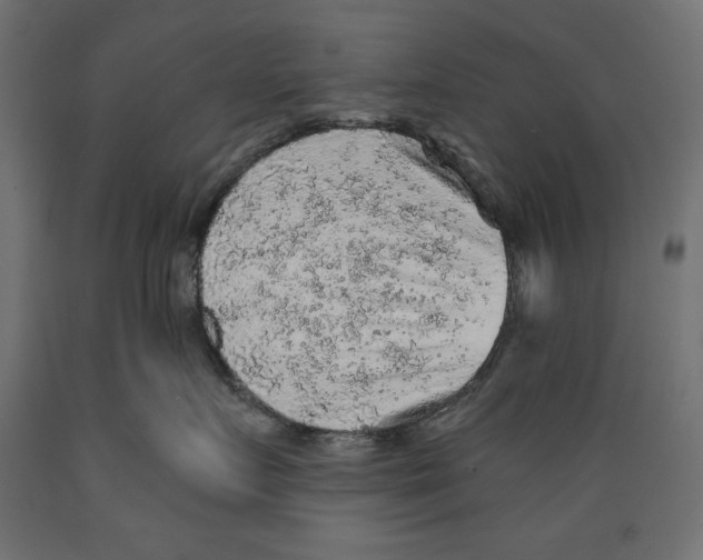 X0000088870719200707061347