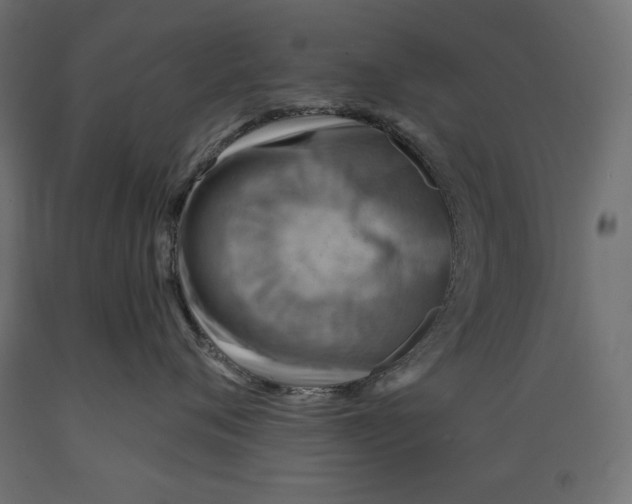 X0000088870720200707061347