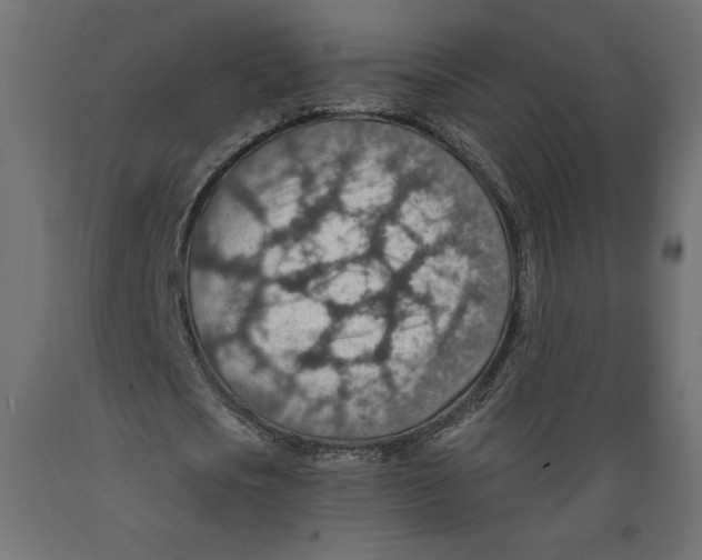 X0000088870721200707061347