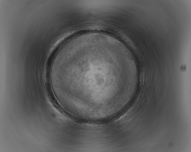 X0000088870722200707061347