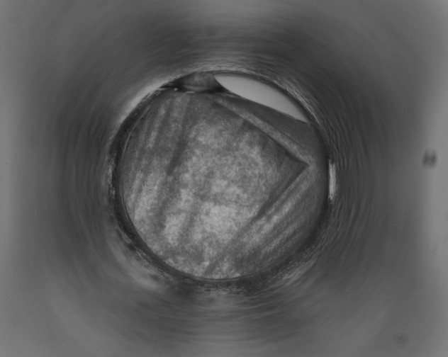 X0000088870723200707061347