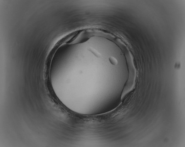 X0000088870724200707061347