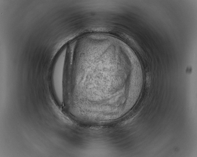 X0000088870725200707061347