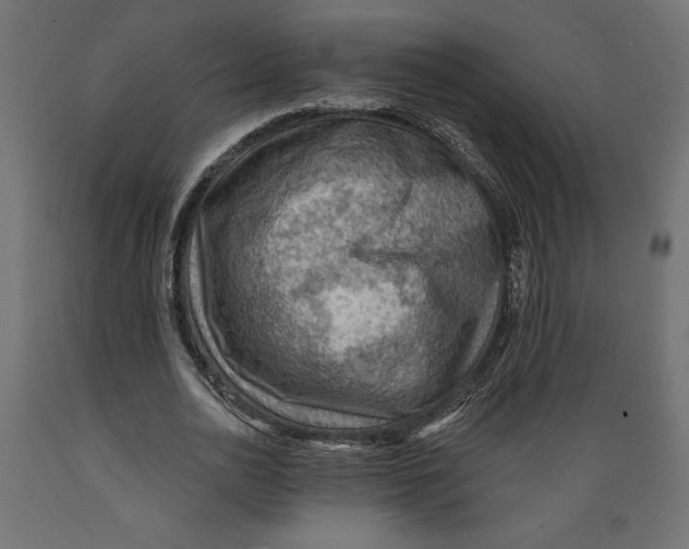 X0000088870726200707061347