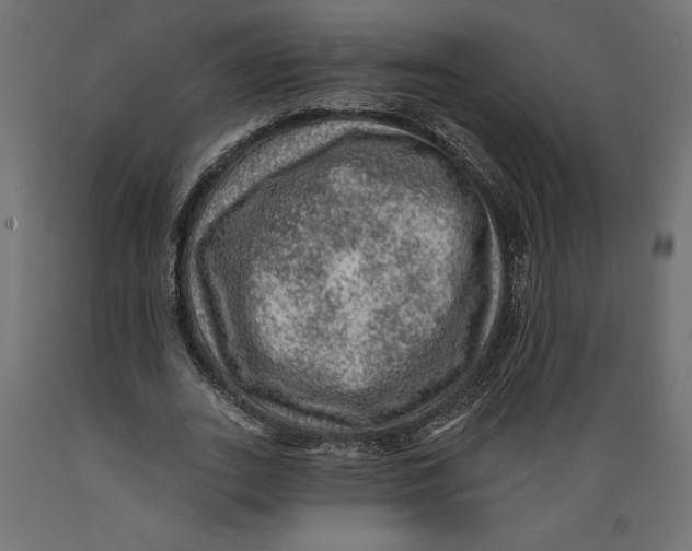 X0000088870727200707061347