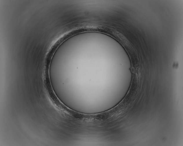 X0000088870728200707061347